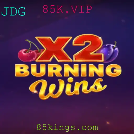 Descubra a Emoção do Jogo BurningWinsX2